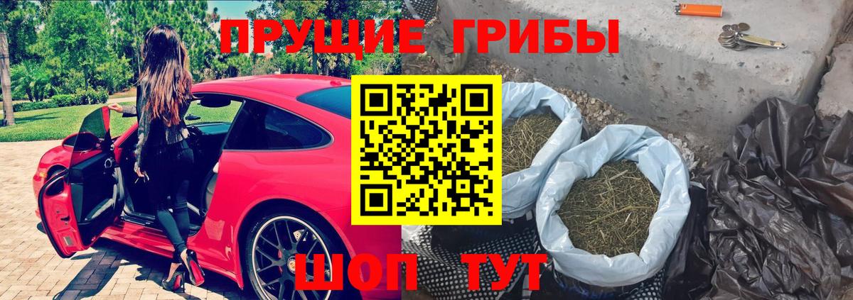 Сальск  Псилоцибиновые грибы Cubensis  Вход с VPN 