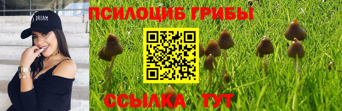 Галлюциногенные грибы MAGIC MUSHROOMS Сальск