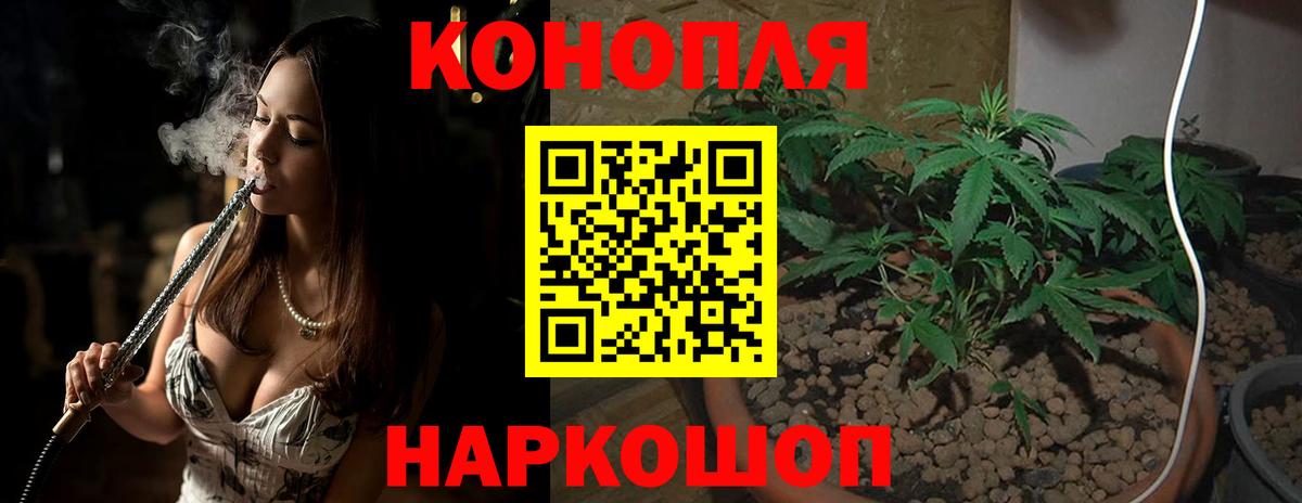 Конопля MAZAR Сальск